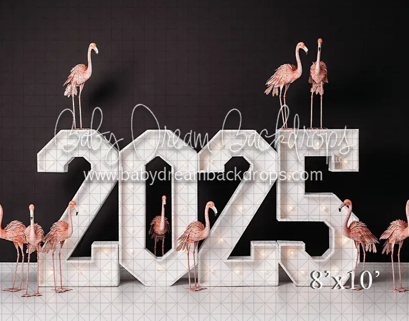 2025 Flamingo (Vr) 1