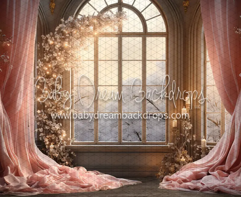 A Princess For Christmas Window (Ja) 1