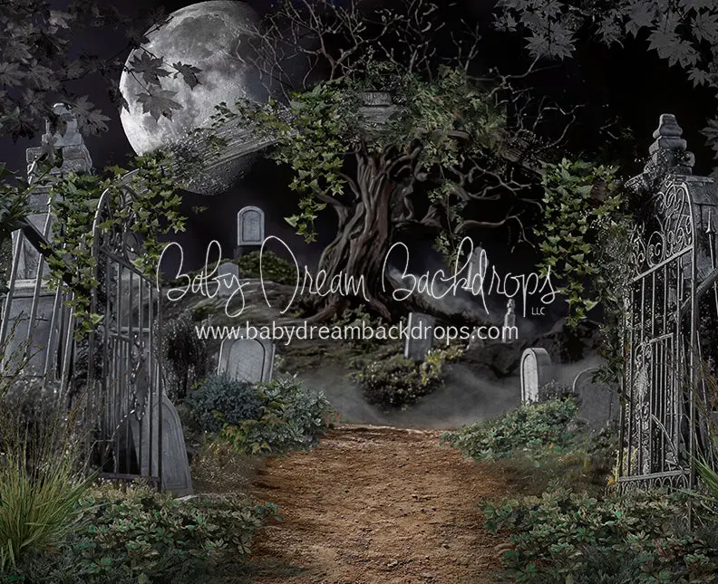 Afterlife Cemetery (Ja) 1
