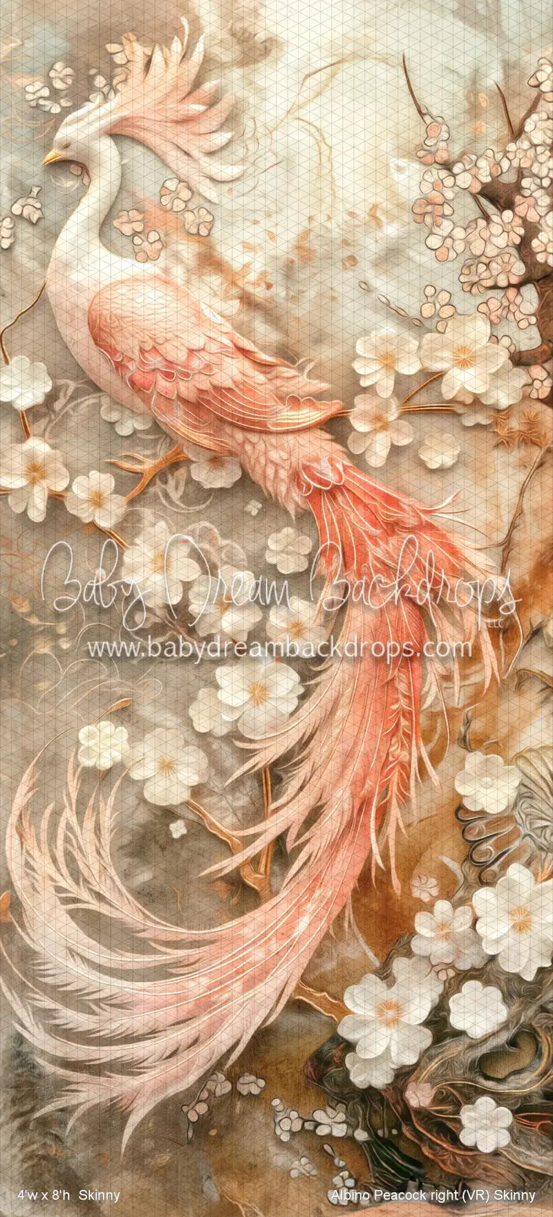 Albino Peacock Right Skinny (Vr) 1