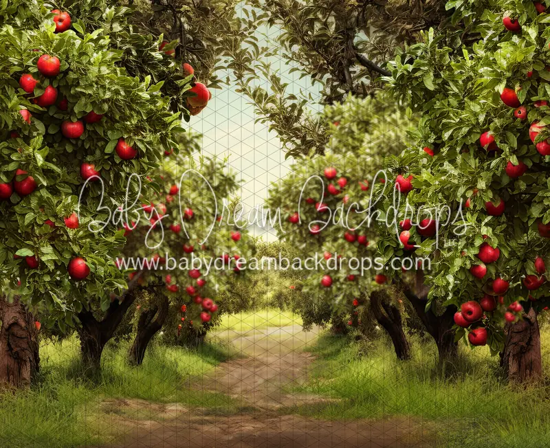 Apple Orchard Path (Dirt) (Ja) 1