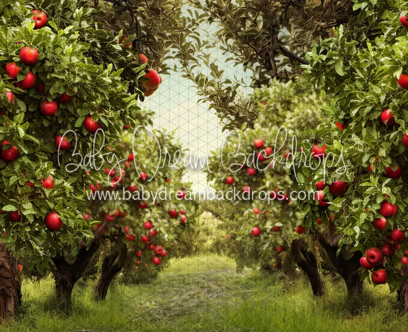 Apple Orchard Path (Grass) (Ja) 1