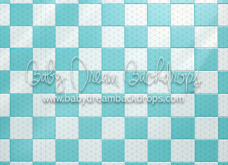 Aqua Dolly Small Checkers (Md) 1