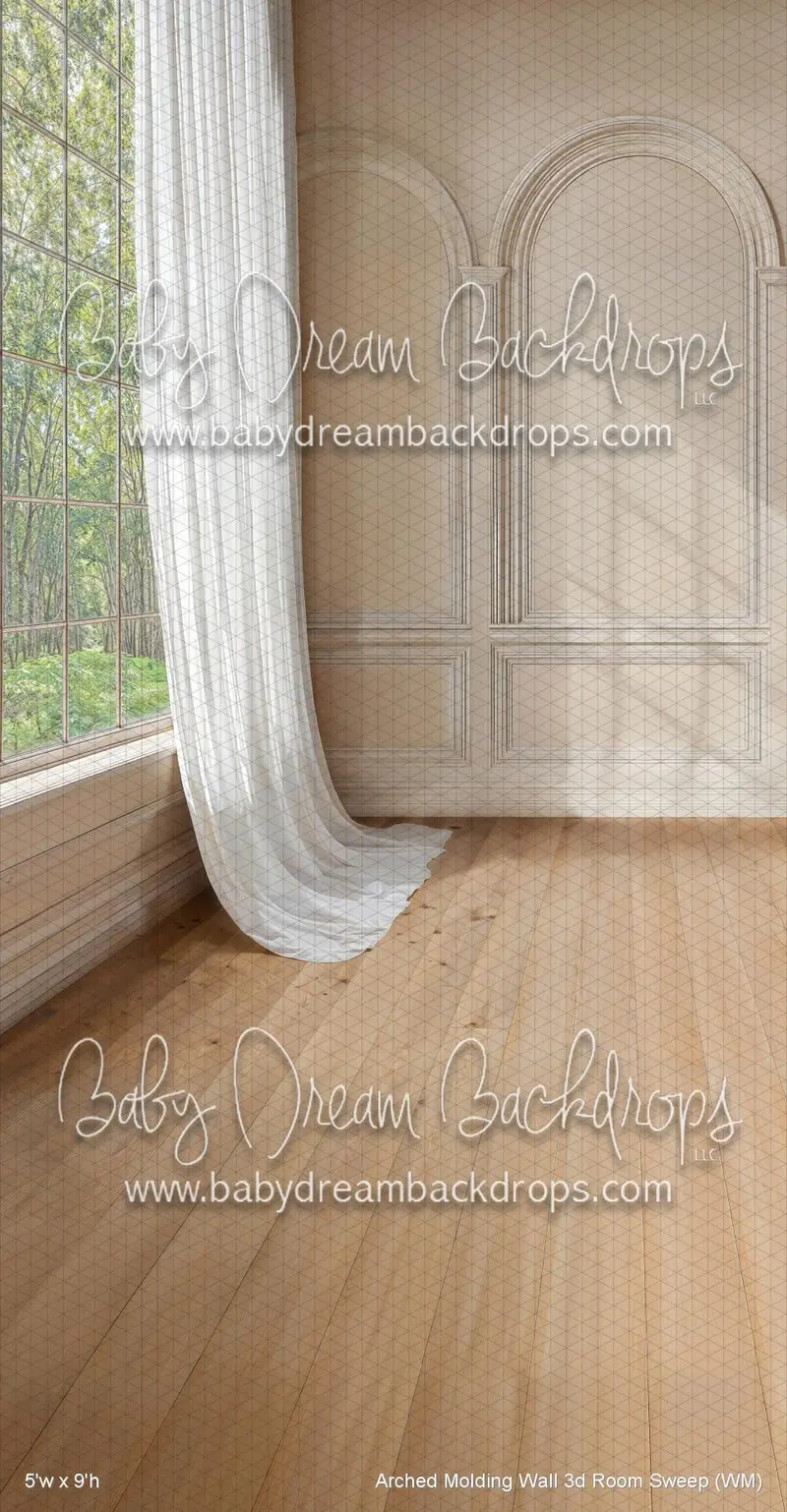Arched Molding Wall 3D Room Sweep (Wm) 1