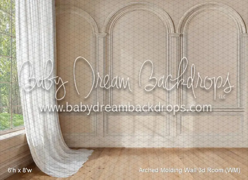 Arched Molding Wall 3D Room (Wm) 1
