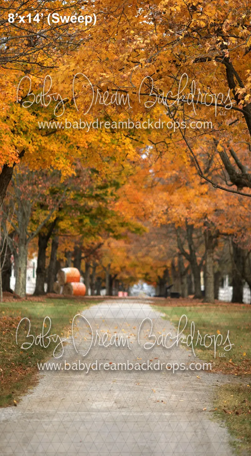 Autumn Strolls Sweep (Lg) 1