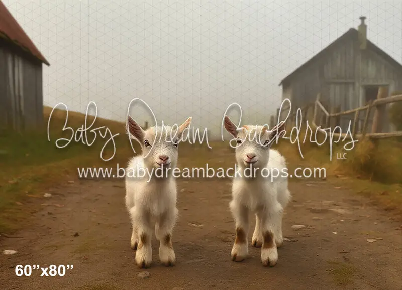 Baby Goats On The Farm (Az) 1