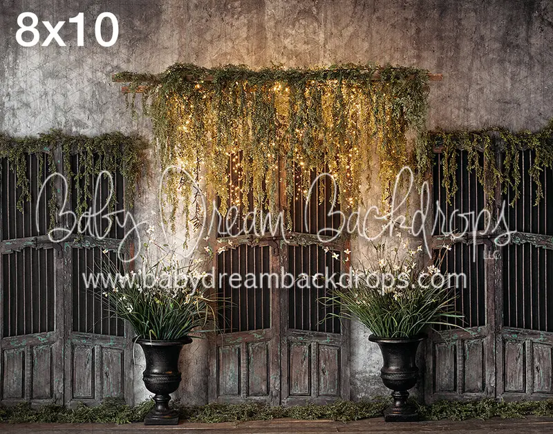 Back Porch Dreams (Vr) 1