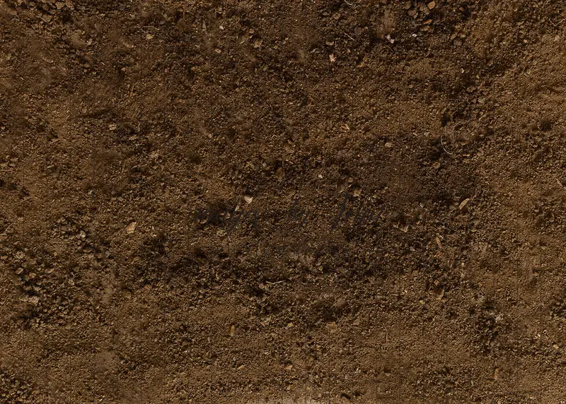 Backyard Dirt Floor (Jg) 1