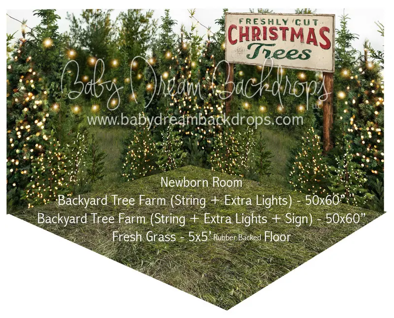 Backyard Tree Farm (String Lights + Extra Lights) And Sign Newborn Room 1