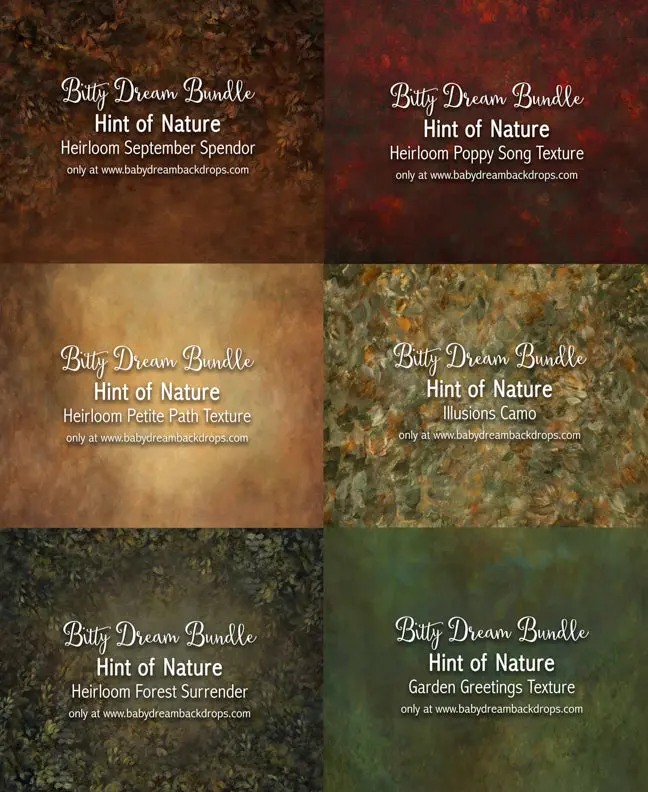 Bitty Dream Bundle - Hint Of Nature 1