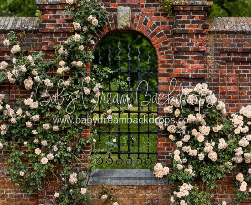 Brick Of Climbing Blooms (Cc) 1