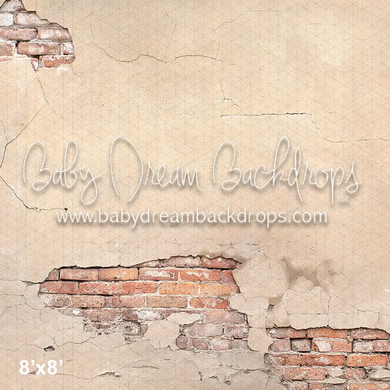 Brick Plaster Wall (Vr) 1