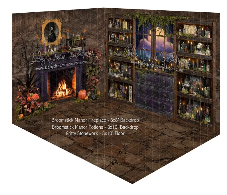 Broomstick Manor Fireplace And Broomstick Manor Potions 1
