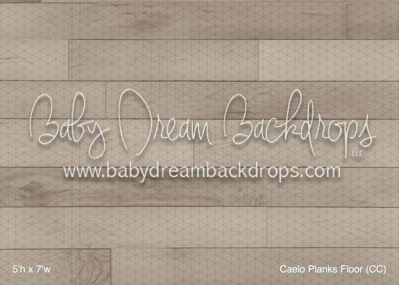 Caelo Planks Floor (Cc) 1