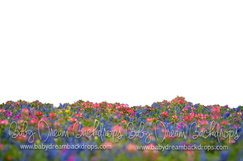 Chasing Wildflowers 2 Overlay 1