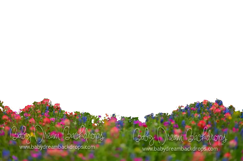 Chasing Wildflowers Overlay 1