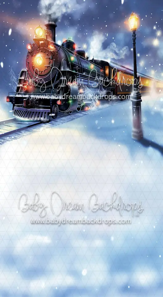 Christmas Express Train Sweep (Md) 1