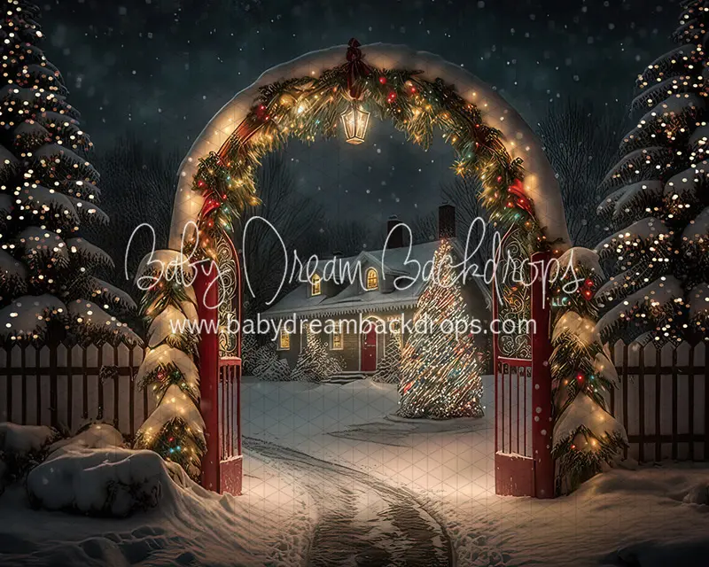 Christmas Winter Enchantment Lights (Bd) 5