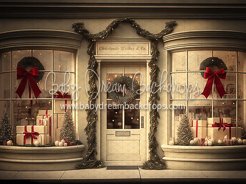 Christmas Wishes And Co. (Bd) 1