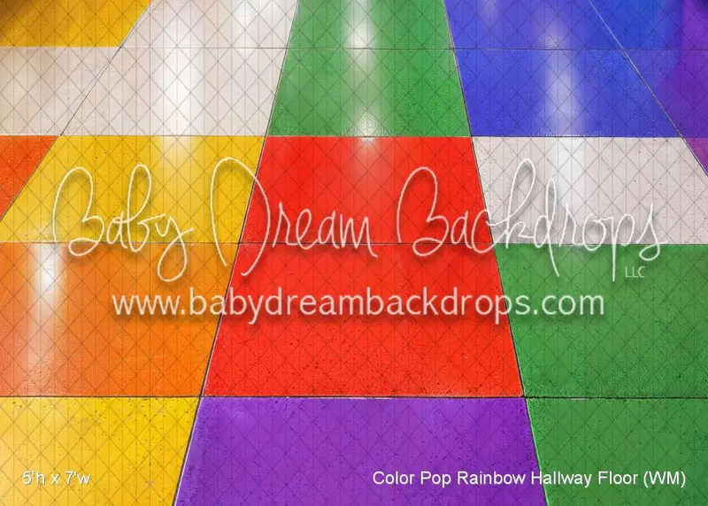 Color Pop Rainbow Hallway Floor (Wm) 1