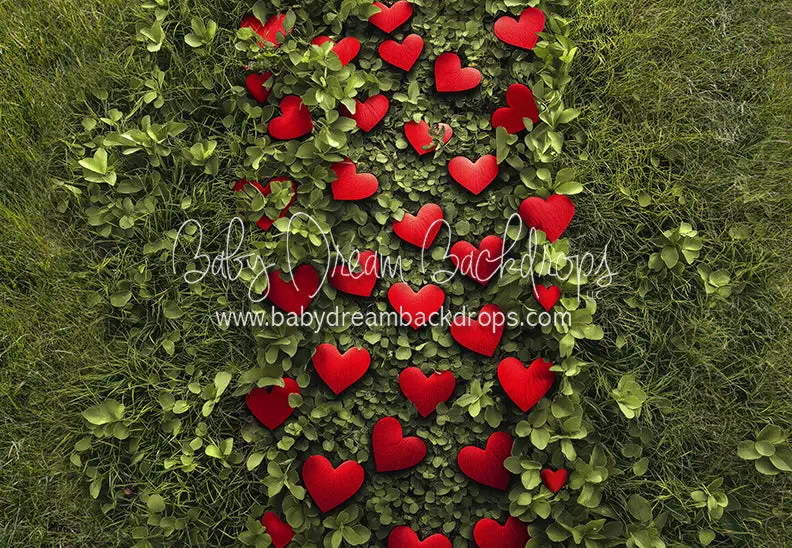 Cupid's Path Floor (Cc) 1