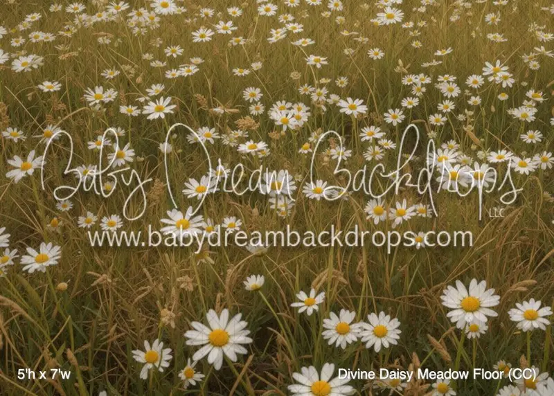 Divine Daisy Meadow Floor (Cc) 1