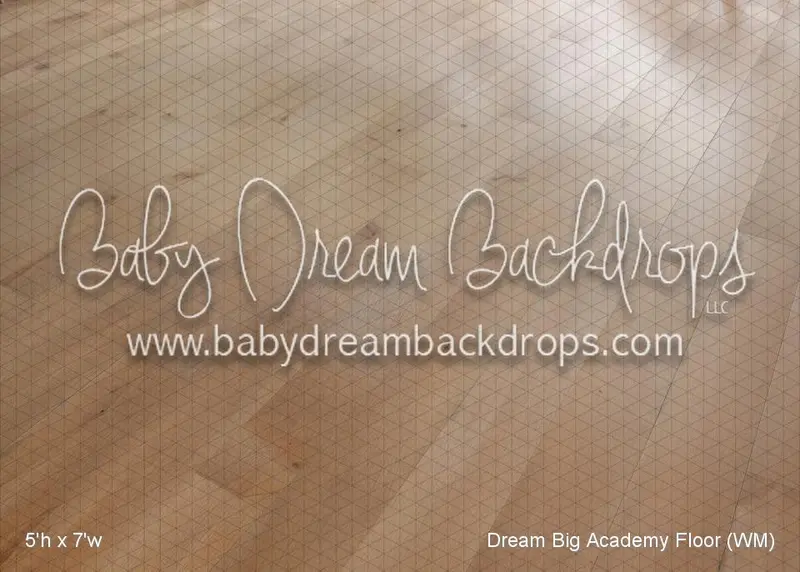 Dream Big Academy Floor (Wm) 1