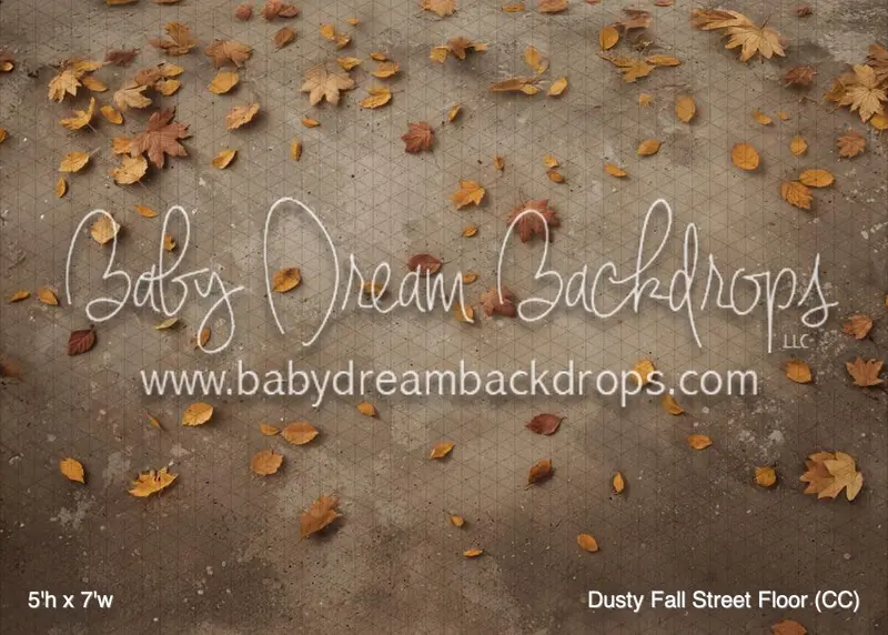 Dusty Fall Street Floor (Cc) 1