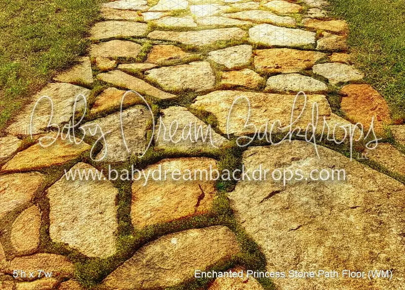 Enchanted Princess Stone Path Floor (Wm) 1