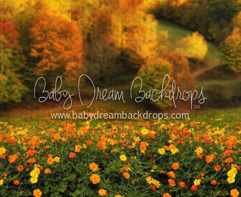 Fall Floral Field (Cc) 1