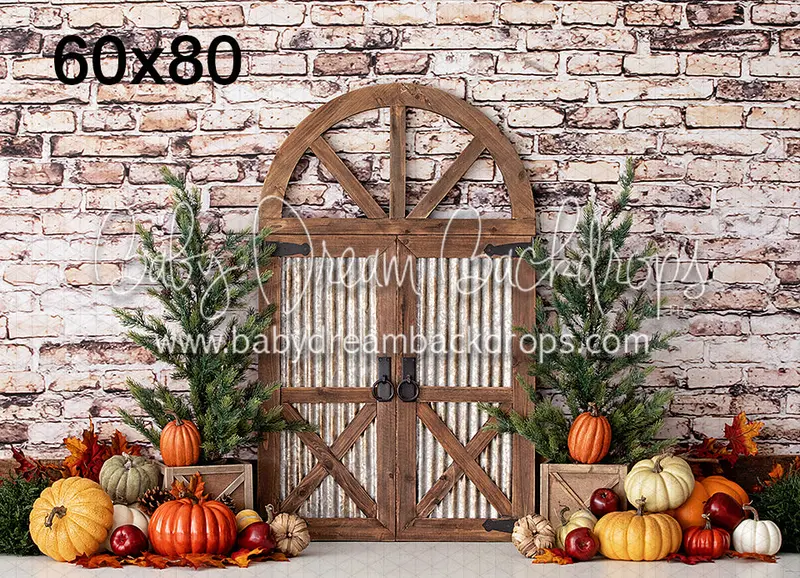 Fall Orchard Entry 1