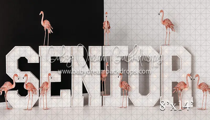 Flamingo Senior 24 (Vr) 1