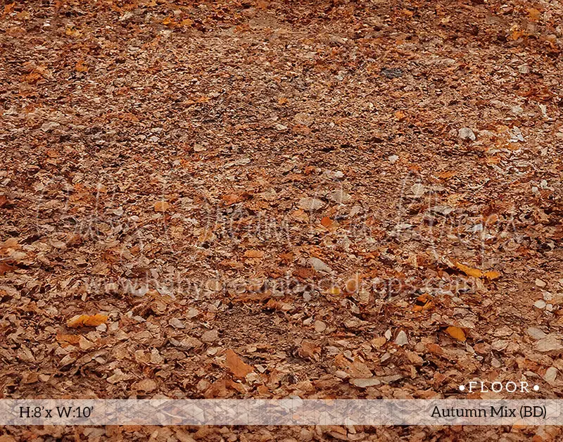 Floor Autumn Mix (Bd) 1
