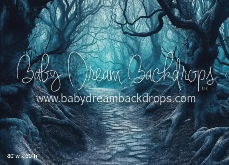 Foggy Forest Path (Wm) 1