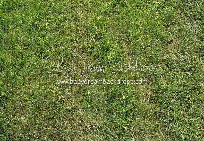 Fresh Bright Spring Grass Floor 1