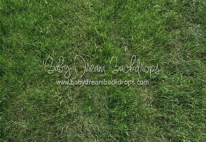 Fresh Spring Grass Floor 1