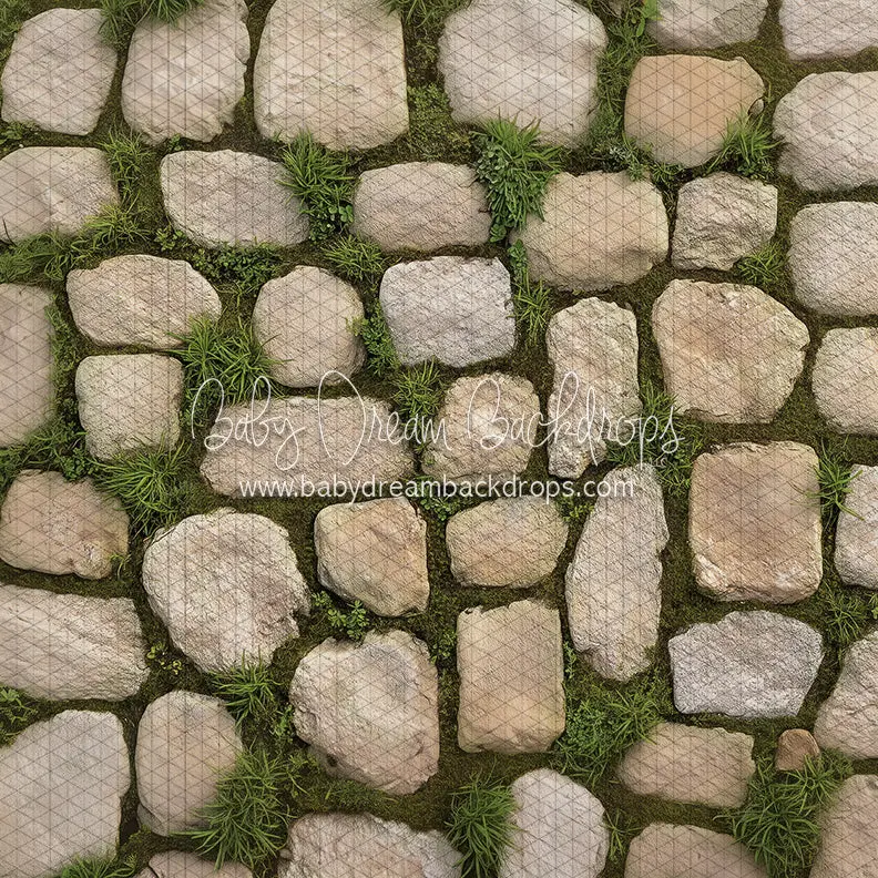 Fresh Steps Floor (Cc) 1