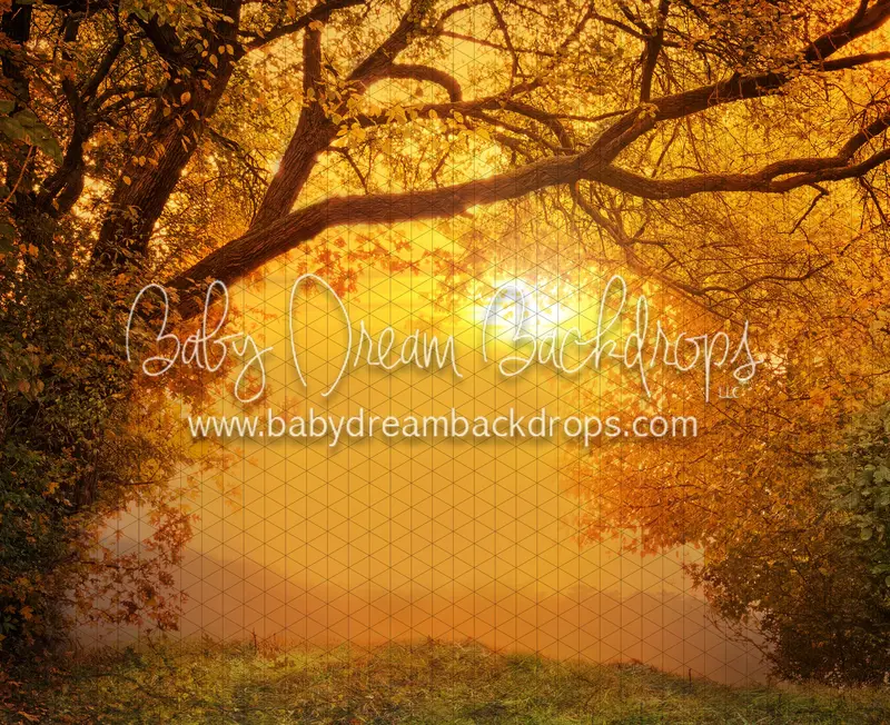 Golden Fall Sunset (Cc) 1