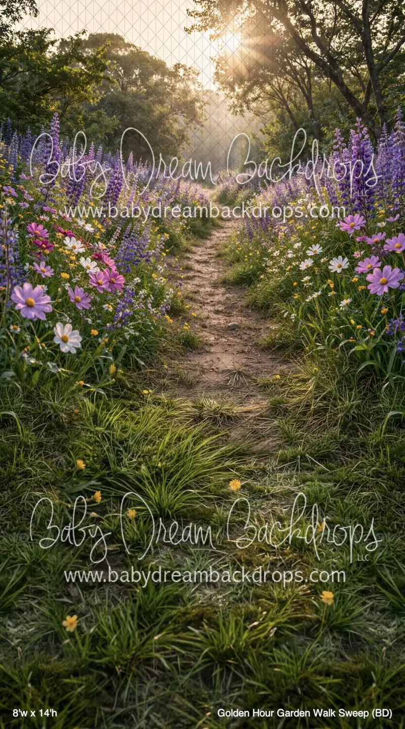 Golden Hour Garden Walk Sweep (Bd) 1