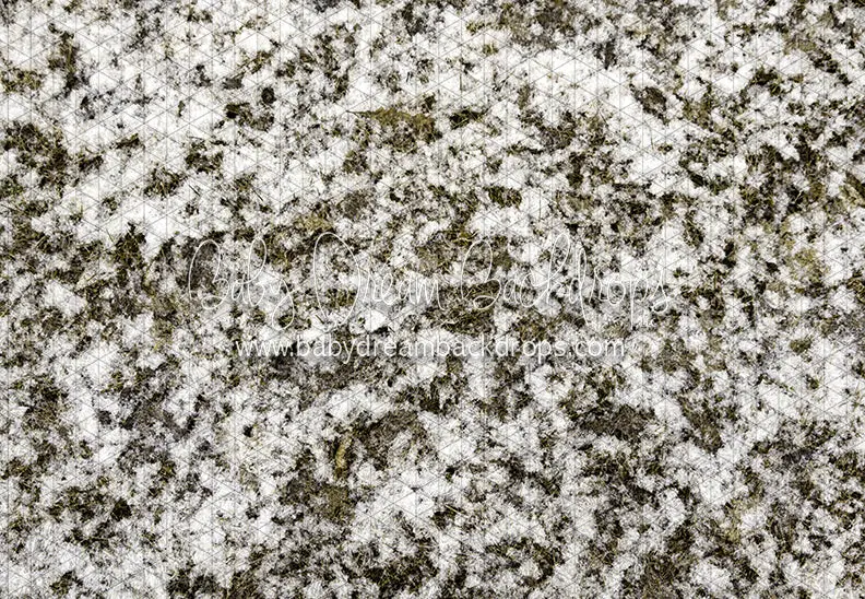 Grass First Snow Floor (Ja) 1