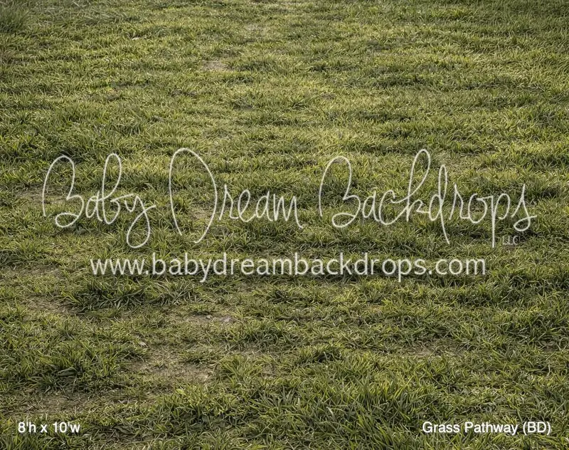 Grass Pathway Floor (Bd) 1