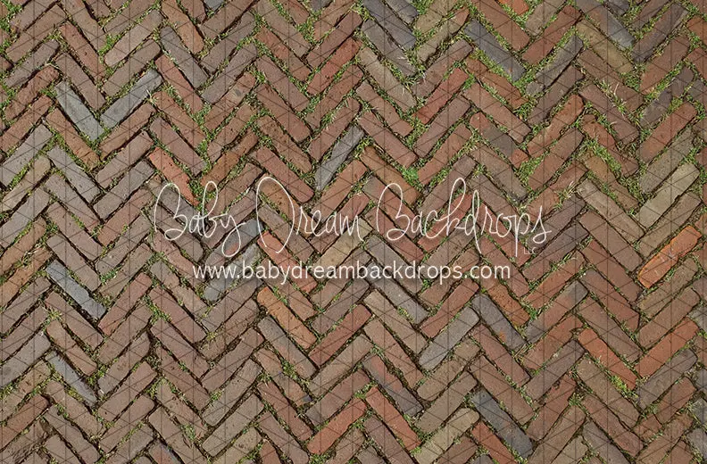 Herringbone Brick Garden Floor Texture (Cocoa)