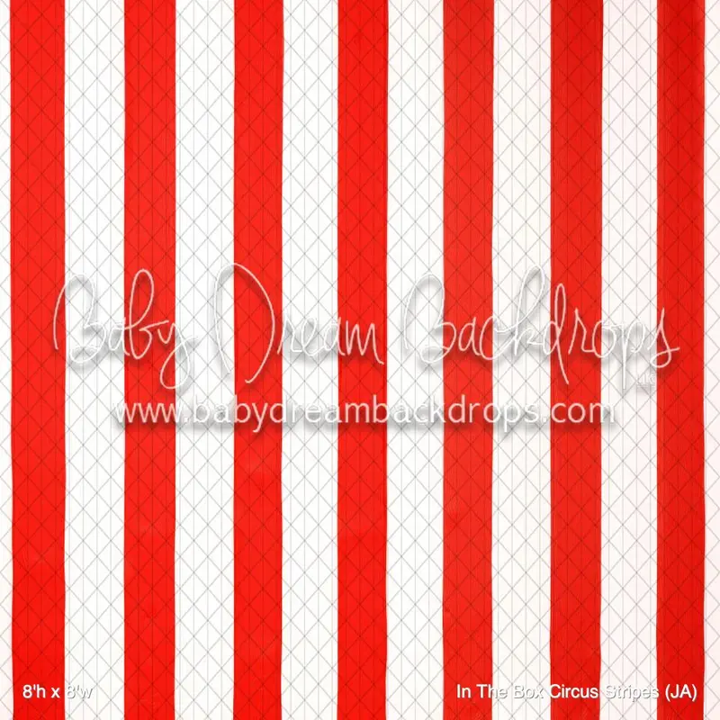 In The Box Circus Stripes (Ja) 1