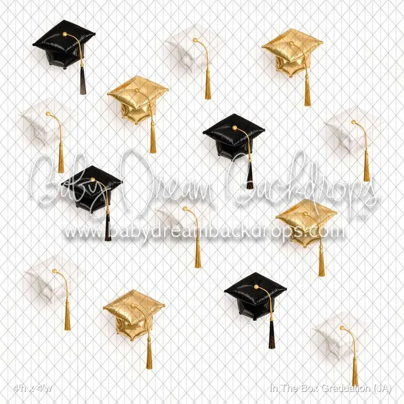 In The Box Graduation (Ja) 1