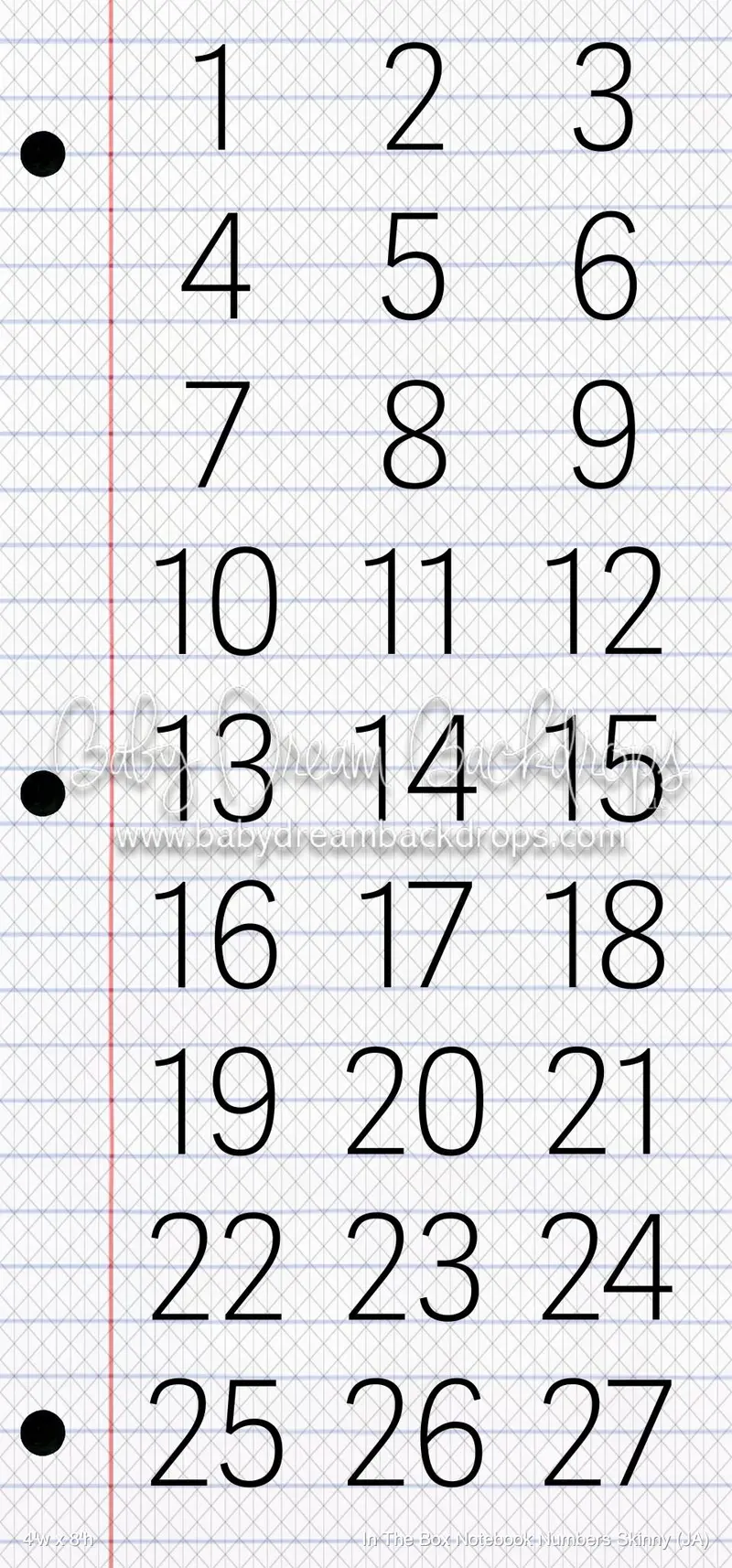 In The Box Notebook Numbers Skinny (Ja) 1