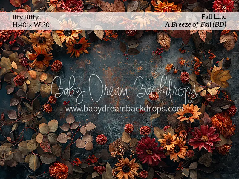 Itty Bitty A Breeze Of Fall (Bd) 1