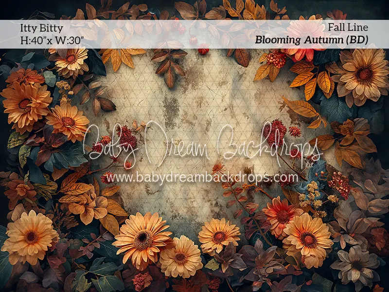 Itty Bitty Blooming Autumn Bd (Bd) 1