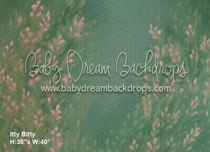 Itty Bitty Divine Breeze (Bd) 1