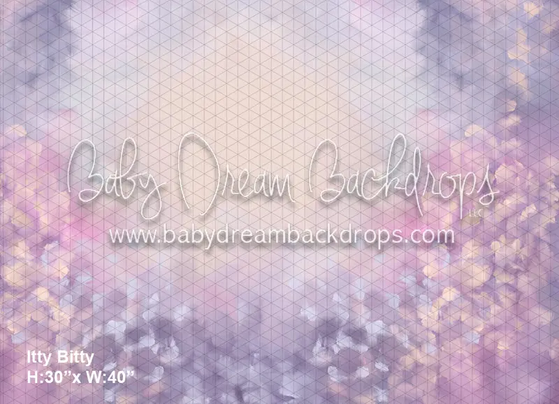 Itty Bitty Divine Dream Valley (Bd) 1